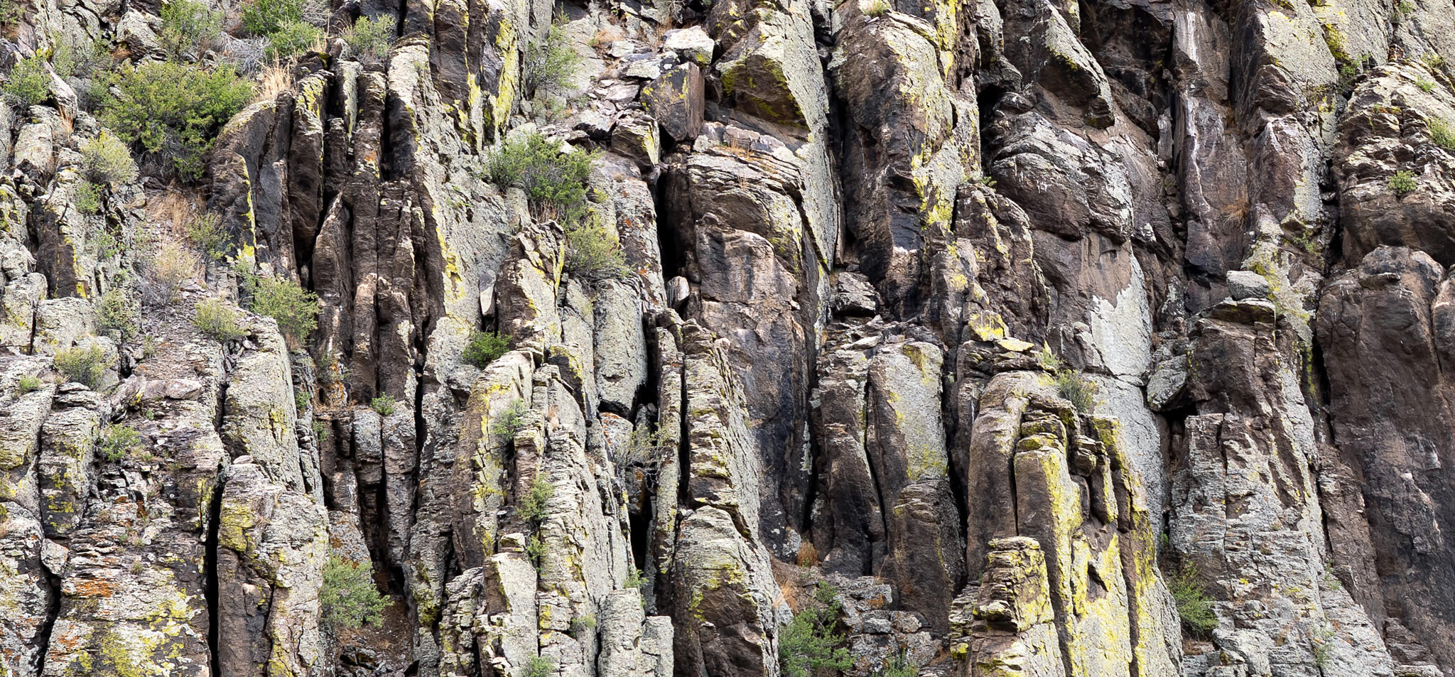 Textured cliff face with layers of gray rock streaked with patches of pale yellow lichen.